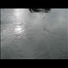 IMG_6650
3/21/2007 2:21:03 PM